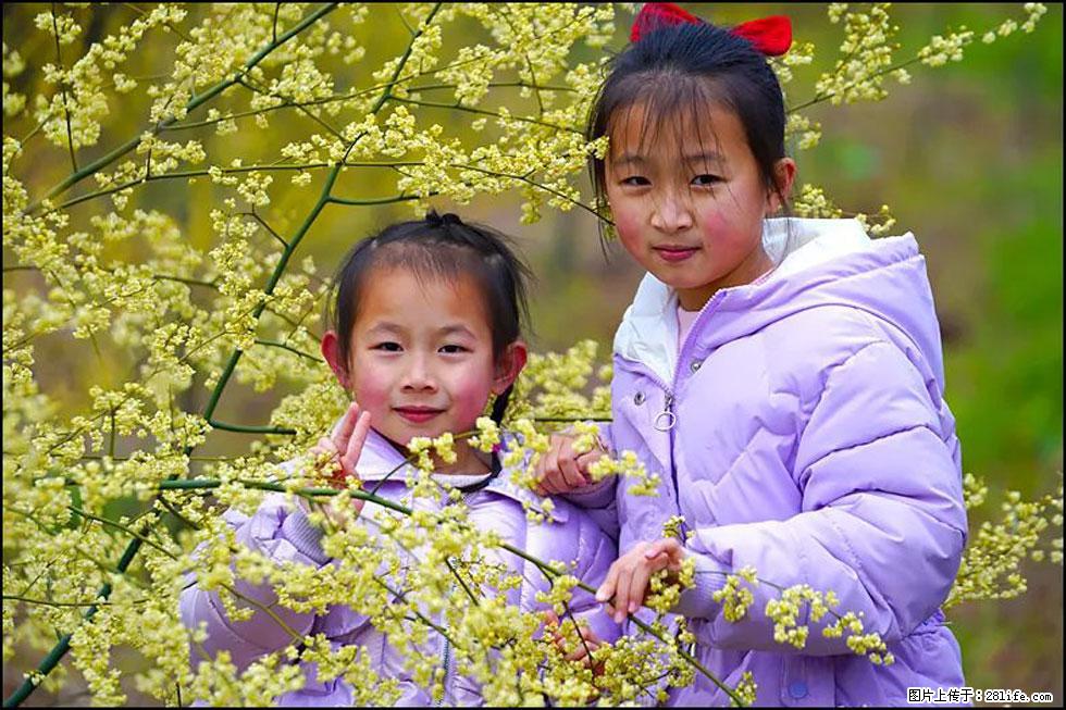 【春天，广西桂林灌阳县向您发出邀请！】米珠山前有片山苍子花在飘香 - 游山玩水 - 长治生活社区 - 长治28生活网 changzhi.28life.net