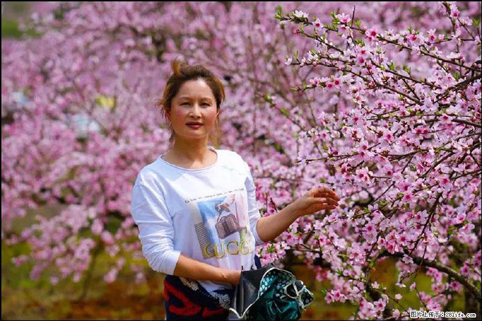 【春天，广西桂林灌阳县向您发出邀请！】官庄村有个醉美的桃花园 - 游山玩水 - 长治生活社区 - 长治28生活网 changzhi.28life.net