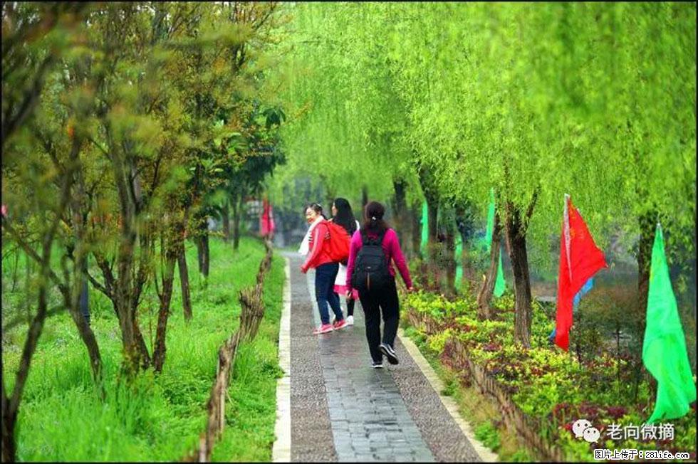 【春天，广西桂林灌阳县向您发出邀请！】江口老街又逢春 - 游山玩水 - 长治生活社区 - 长治28生活网 changzhi.28life.net