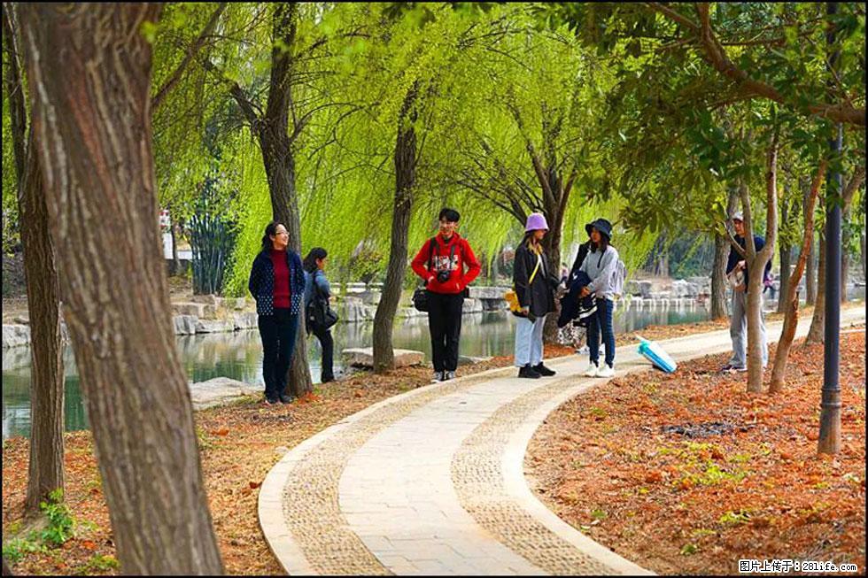 【春天，广西桂林灌阳县向您发出邀请！】江口老街又逢春 - 游山玩水 - 长治生活社区 - 长治28生活网 changzhi.28life.net