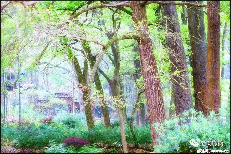【春天，广西桂林灌阳县向您发出邀请！】在小龙村与春天约会 - 游山玩水 - 长治生活社区 - 长治28生活网 changzhi.28life.net