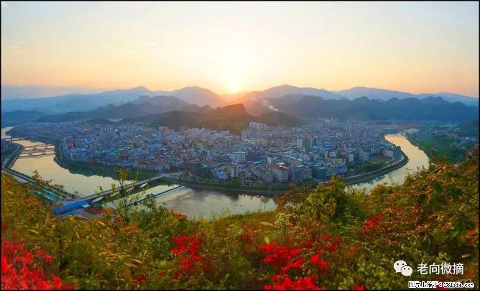 【春天，广西桂林灌阳县向您发出邀请！】登麒麟山，相约映山红 - 游山玩水 - 长治生活社区 - 长治28生活网 changzhi.28life.net