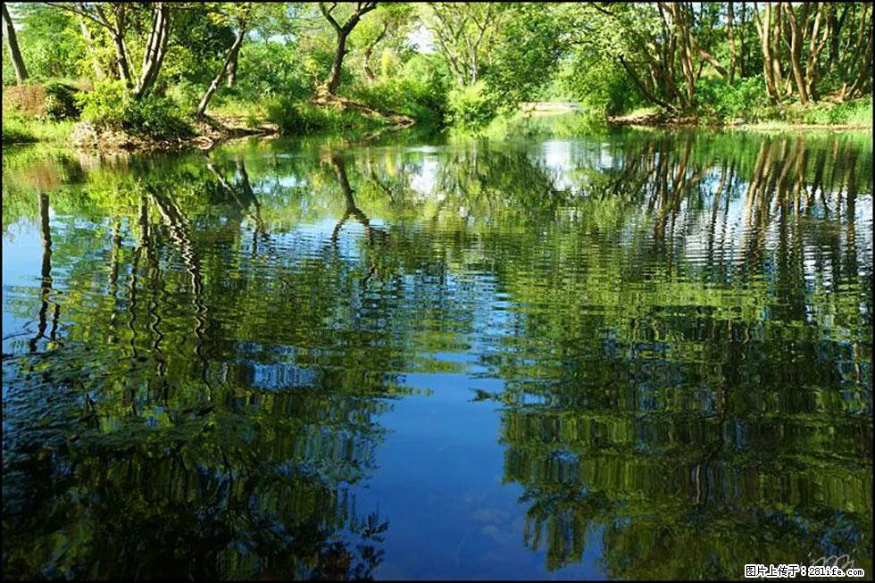【春天，广西桂林灌阳县向您发出邀请！】熊家寨湿地公园 - 游山玩水 - 长治生活社区 - 长治28生活网 changzhi.28life.net