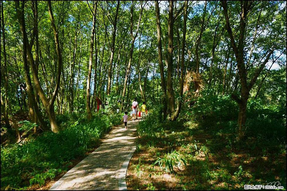 【春天，广西桂林灌阳县向您发出邀请！】熊家寨湿地公园 - 游山玩水 - 长治生活社区 - 长治28生活网 changzhi.28life.net
