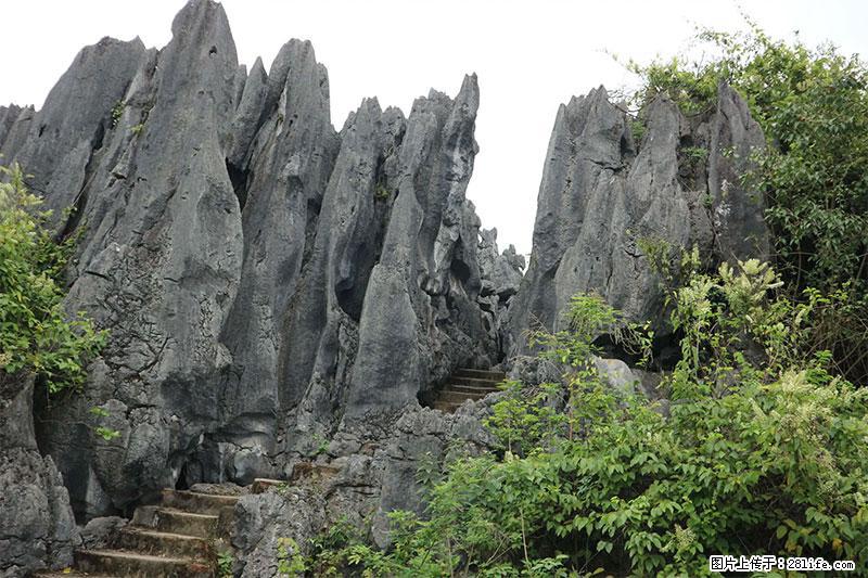 桂林旅游名城景点：灌阳文市石林 - 游山玩水 - 长治生活社区 - 长治28生活网 changzhi.28life.net