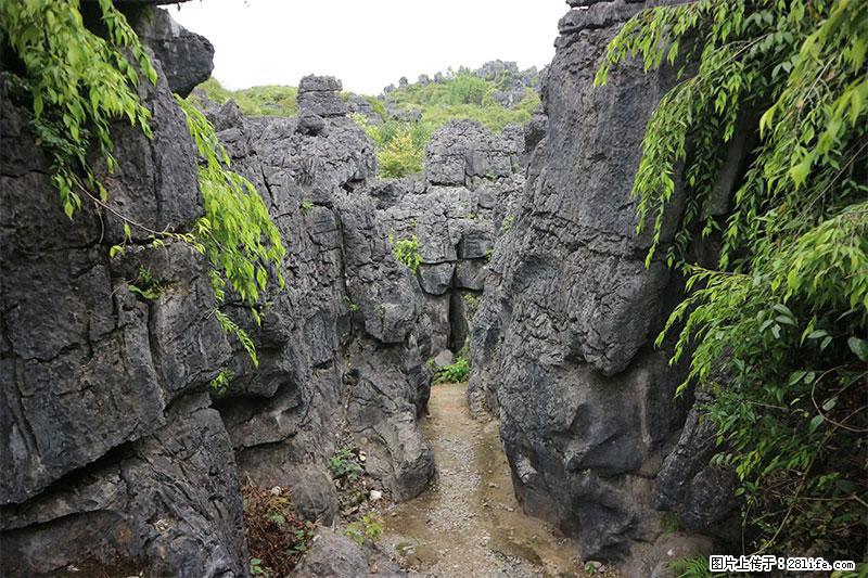 桂林旅游名城景点：灌阳文市石林 - 游山玩水 - 长治生活社区 - 长治28生活网 changzhi.28life.net