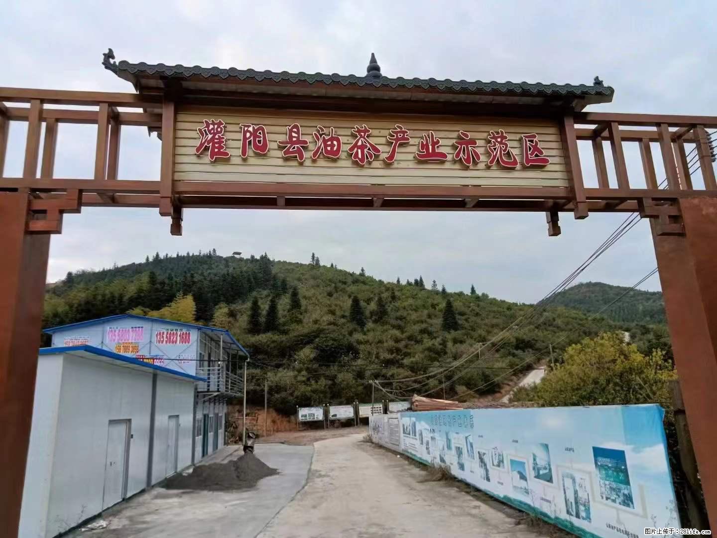 【灌阳县油茶产业示范区】一个有着充实的精神生活的人，对待身外之物自会有一种淡泊的态度 - 美食天地 - 长治生活社区 - 长治28生活网 changzhi.28life.net