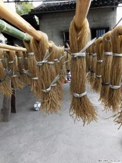 【灌阳正宗红薯粉】美女家里自己做的，干净卫生，假一赔十，价格合理，抢购电话：13737312895 - 长治28生活网 changzhi.28life.net