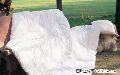 被子有异味？只要这样做，比晒太阳还强100倍！ - 家居生活 - 长治生活社区 - 长治28生活网 changzhi.28life.net