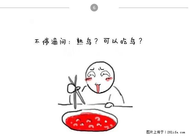 千万不要和这9种哈卵一起吃火锅！ - 美食天地 - 长治生活社区 - 长治28生活网 changzhi.28life.net