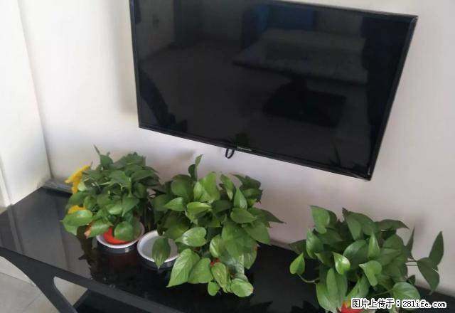 火车站附近 可半年付 精装一居室 家具家电齐全 物业费低 - 房屋出租 - 房屋租售 - 长治分类信息 - 长治28生活网 changzhi.28life.net