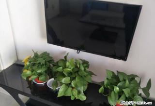 火车站附近 可半年付 精装一居室 家具家电齐全 物业费低 - 长治28生活网 changzhi.28life.net