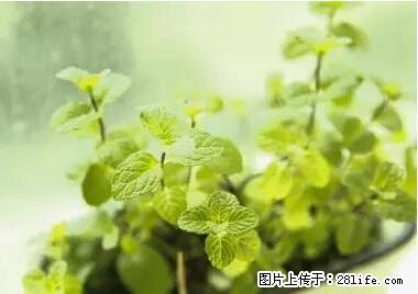 晕车、脚气、牙齿变黄、皮肤粗糙？学会这些三分钟搞定！ - 长治生活资讯 - 长治28生活网 changzhi.28life.net