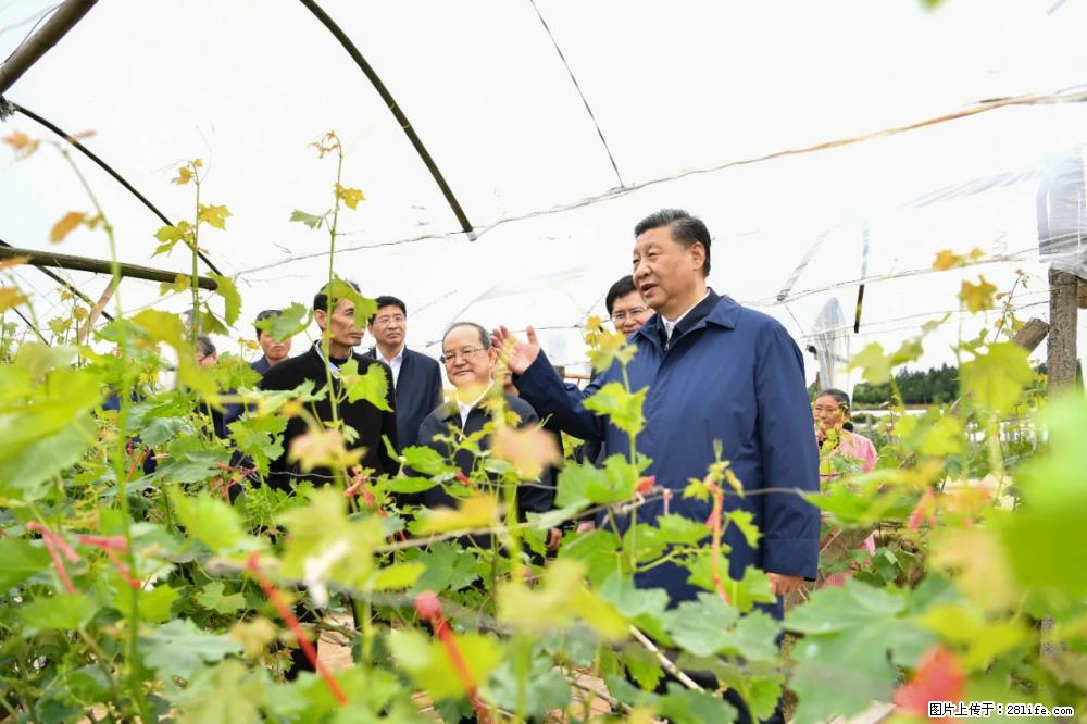习近平赴广西考察调研 - 长治生活资讯 - 长治28生活网 changzhi.28life.net