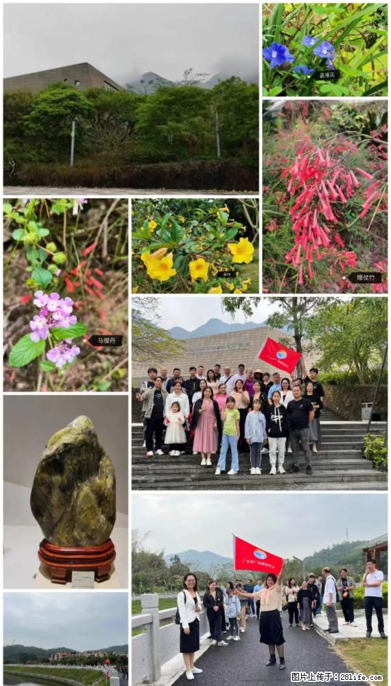 “粤灌文化 美好生活”油茶文化主题活动在广东深圳成功举办 - 长治生活资讯 - 长治28生活网 changzhi.28life.net