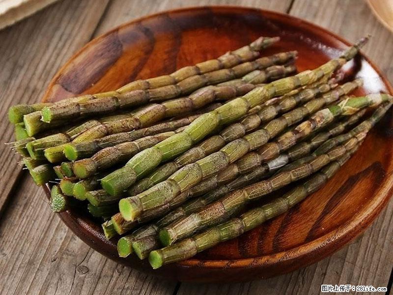 铁皮石斛的作用与功能主治 - 长治生活资讯 - 长治28生活网 changzhi.28life.net